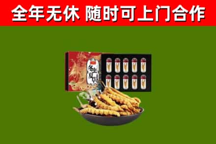象山县回收冬虫夏草价格